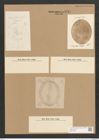 Diatomeae indet. Zeichnungen Sammlung Grunow Nr. 3754 (NHMW-BOT-W0371406)